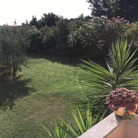 Daniela Panzió Olbia