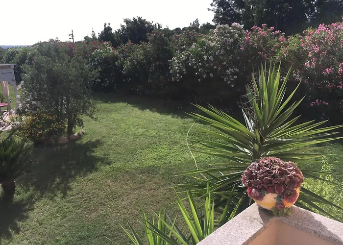 Daniela Bed & Breakfast Olbia